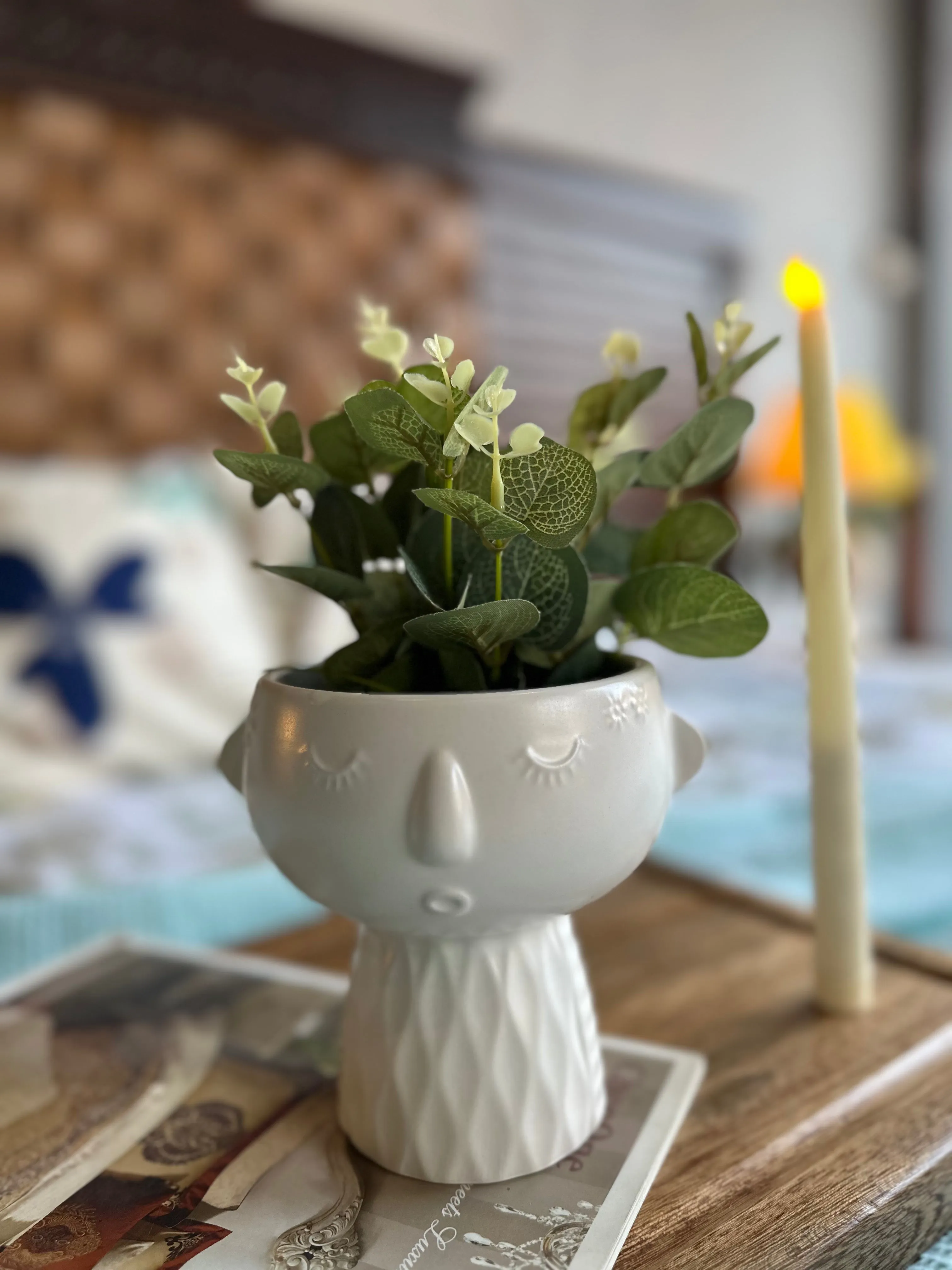 Charming Ceramic Plant Pots