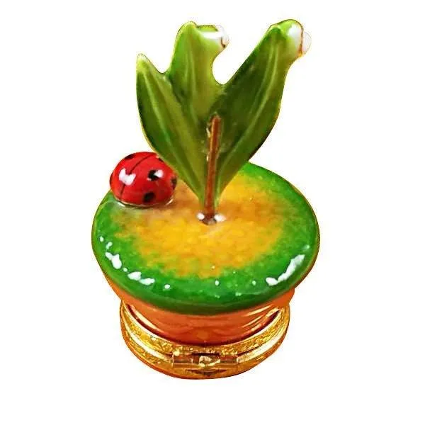 Lily of the Valley with Ladybug in Pot