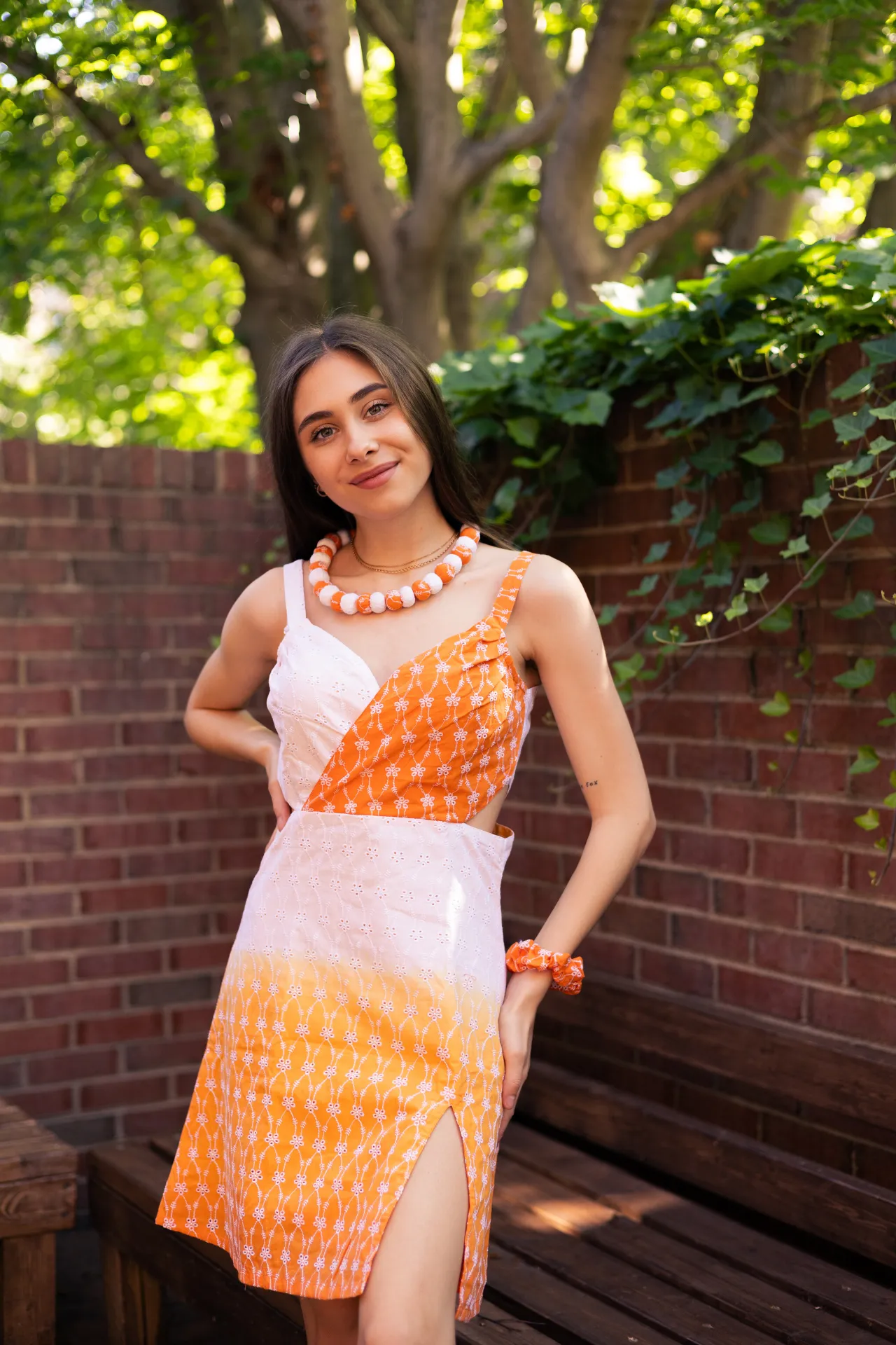 Valencia Ombre Cut Out Dress